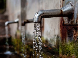 Kireç Önşeyici Sistem Suyunuzda Yosun Oluşumunu Engeller