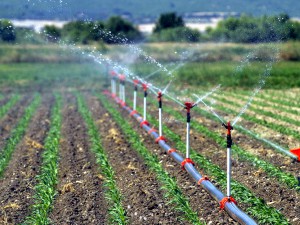 Tarım Arazisi Kireç Önleyici Sistem Biriken Kireç Tortularını Çözer